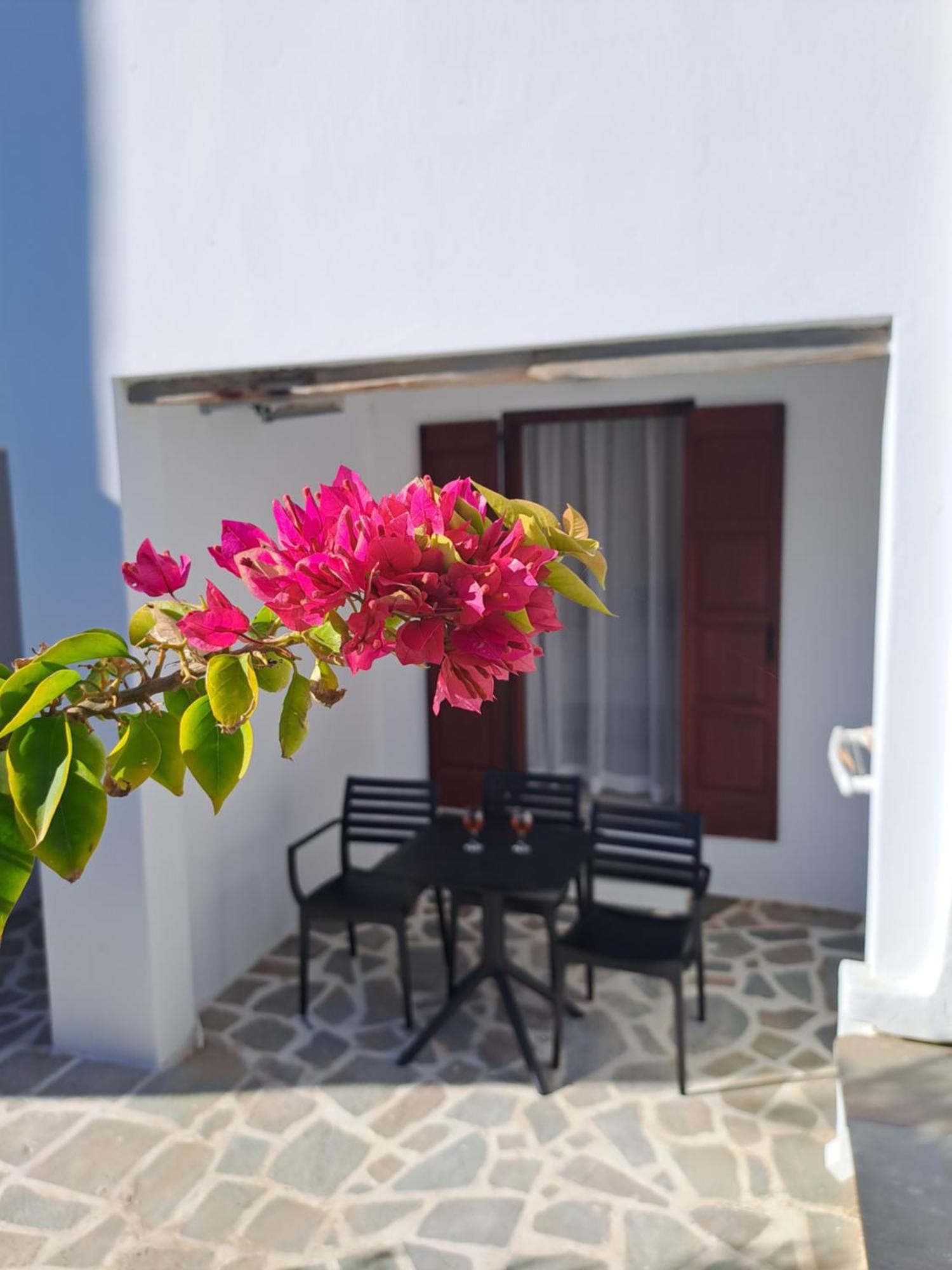 Ανεμόμυλος Aparthotel Αγία Άννα Εξωτερικό φωτογραφία
